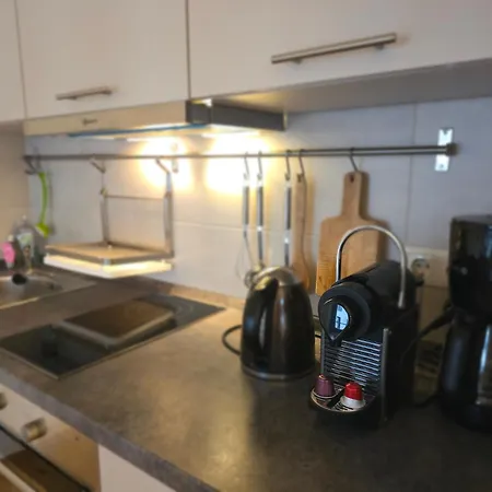 דירה Helles Jugendstilstudio Mit Home-office Und Garten לייפציג