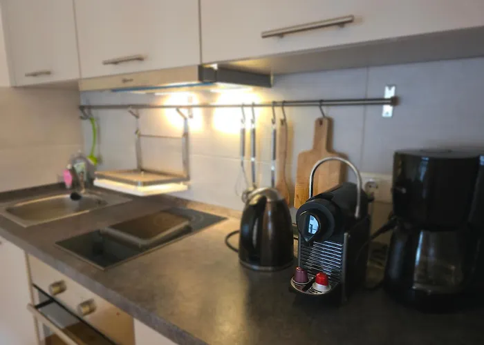 דירה Helles Jugendstilstudio Mit Home-office Und Garten לייפציג