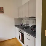 Apartamento Helles Jugendstilstudio Mit Home-office Und Garten *