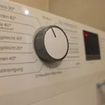 Helles Jugendstilstudio Mit Home-office Und Garten Daire Leipzig