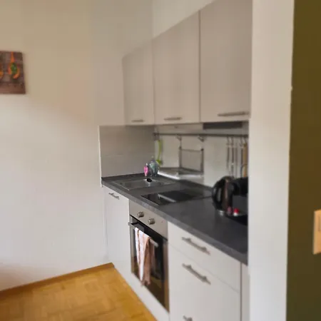 Апартаменты Helles Jugendstilstudio Mit Home-office Und Garten *